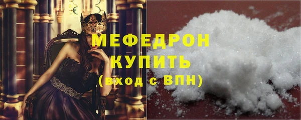 PSILOCYBIN Ельня