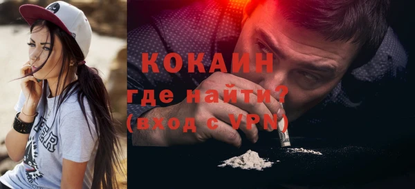 PSILOCYBIN Ельня