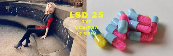 PSILOCYBIN Ельня
