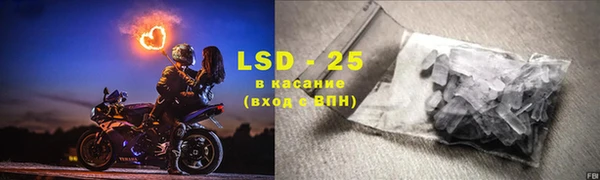 PSILOCYBIN Ельня