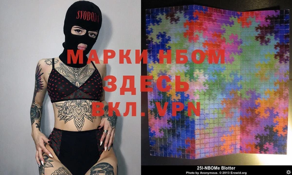 PSILOCYBIN Ельня
