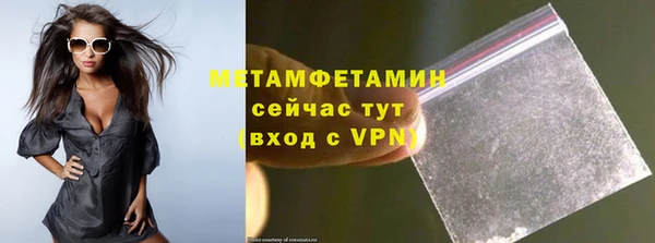 PSILOCYBIN Ельня