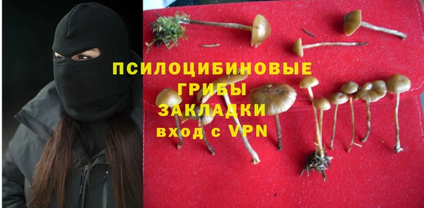 PSILOCYBIN Ельня