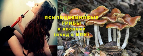 прущая мука Дмитровск