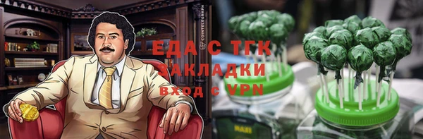PSILOCYBIN Ельня