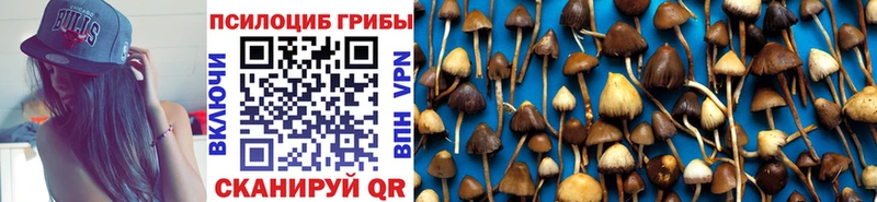 магазин продажи наркотиков Славянск-на-Кубани Галлюциногенные грибы Psilocybe