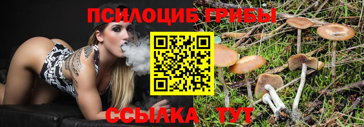 Псилоцибиновые грибы MAGIC MUSHROOMS Славянск-на-Кубани