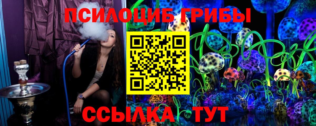 Галлюциногенные грибы Psilocybe Славянск-на-Кубани