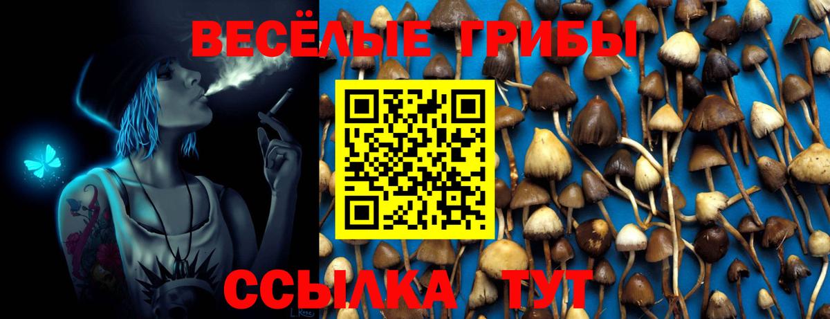 Псилоцибиновые грибы Psilocybe  хочу наркоту  Псилоцибиновые грибы MAGIC MUSHROOMS  Славянск-на-Кубани  Вход с VPN 