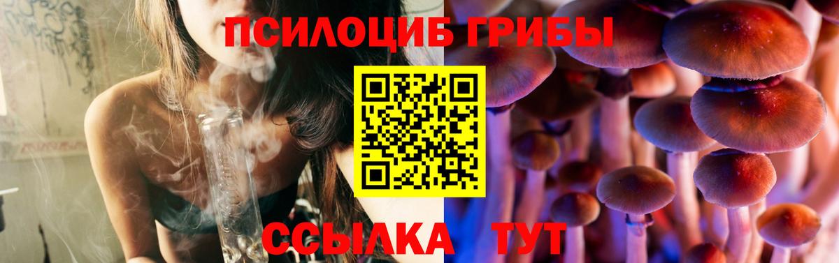 Псилоцибиновые грибы MAGIC MUSHROOMS  Славянск-на-Кубани 